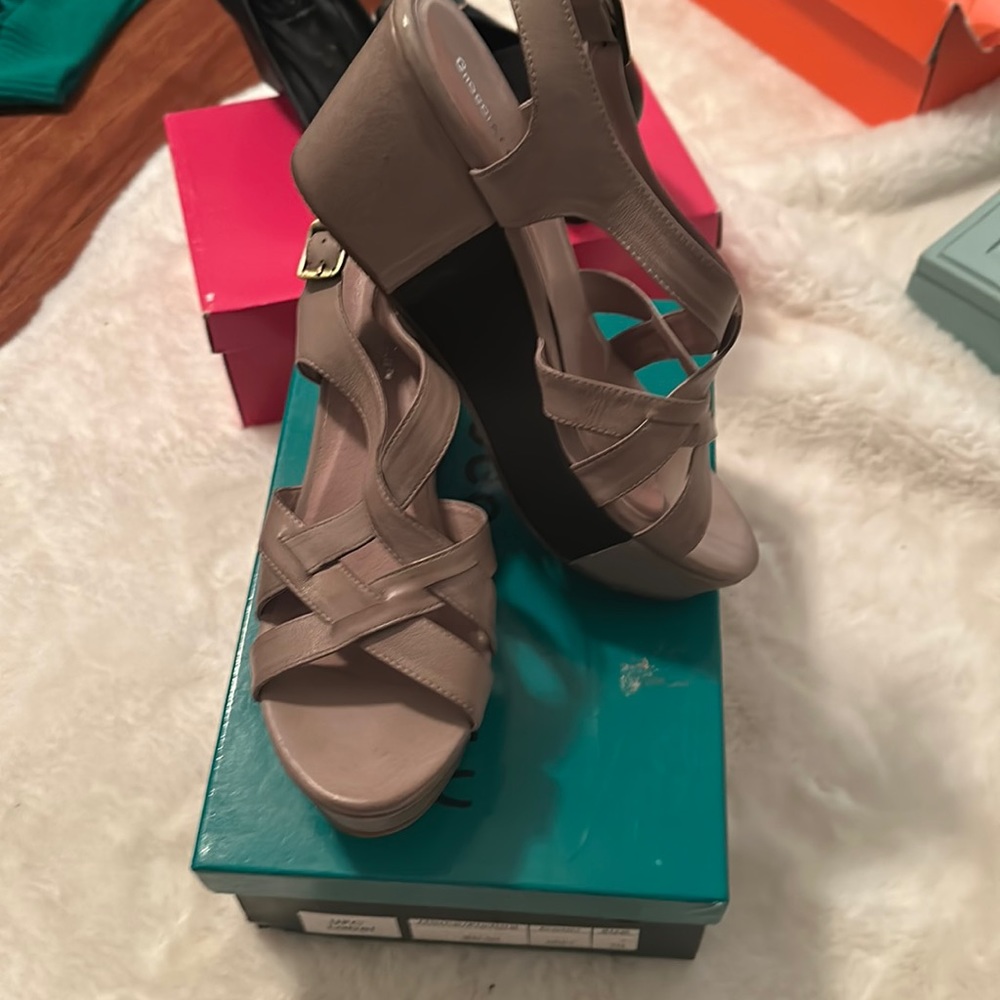 New chocolate blu wedges